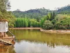 -滴水岩森林公园