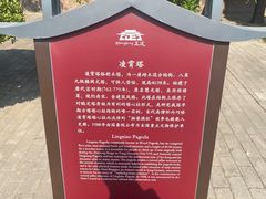 -天宁寺