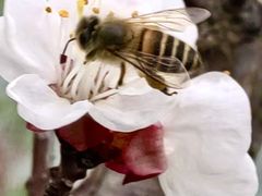 -苏州大学附属第二医院(三香院区)