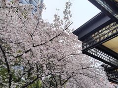 -玛格萝妮比萨屋(四平店)