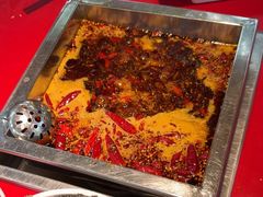 -二荆条·蜀鲜汇城市森林火锅