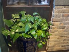 -手选潮汕鲜牛肉火锅(二七广场店)