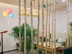 点击看大图 -芳香乐府疗愈空间·SPA·冥想