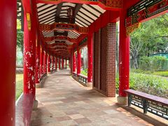 -顺峰山公园