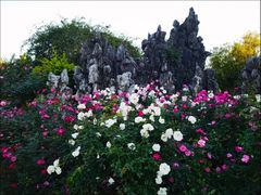 -人民公园(罗湖区)