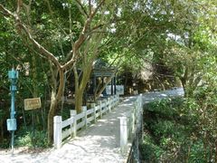 景点-羚羊峡古栈道森林公园