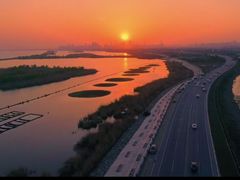 -合肥滨湖国家森林公园