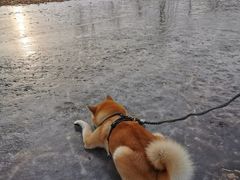 -东郊湿地公园