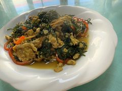 -煲来饱去冷水鱼
