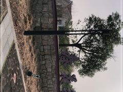 -春花秋色城市公园