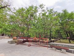 -洛阳周公庙博物馆