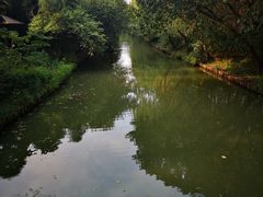 -同里国家湿地公园