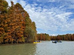 -上海海湾国家森林公园