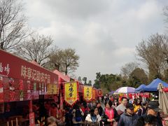 -秀丽东方