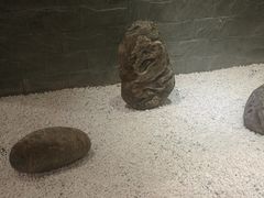 -虎焱炭火烧肉