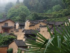 -杨家堂村