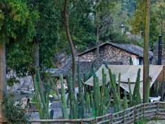 -MOJ coffee(瓯海泽雅水碓坑店)