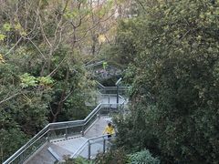 -佛山华盖山公园