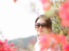 -木兰云雾山