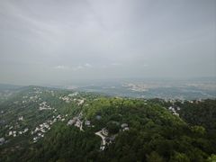 -大金鹰园
