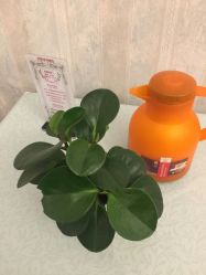 -弗蕾亚·和月月子调理院(东湖店)