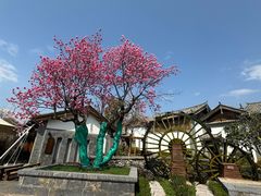 -时光吧·大堂吧·丽江和府洲际度假酒店