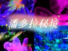 -宁波科学探索中心