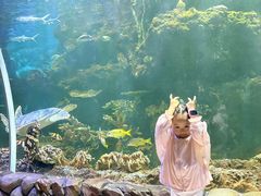 -华夏文旅海洋公园