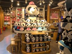 -熊猫屋(宽窄巷子景区店)