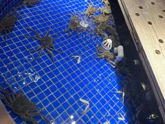 -腾阁自助餐厅(朝林广场店)