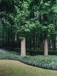 -虹桥迎宾馆·宴会厅