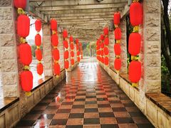 -花溪公园