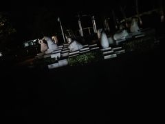 -张店儿童公园