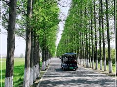 -嘉北郊野公园