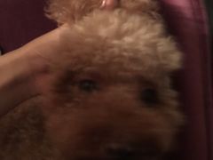 -HIHE Bistro·Oyster Bar(华熙live店)