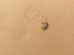 -青岛银沙滩温德姆至尊酒店