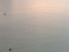 -北岐滩涂