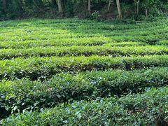 -敬亭山风景名胜区