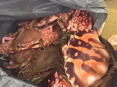 -浪琴湾尾角仔海鲜坊