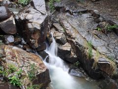 -广州白江湖森林公园