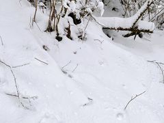 -九峰山