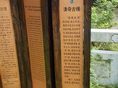 -司徒庙