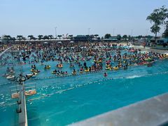 -秦皇岛乐岛海洋王国