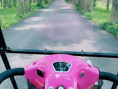 -黄海国家森林公园