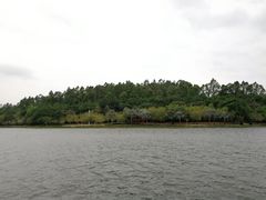 -南国桃园旅游度假区