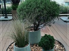 -La Terre乐田(万象城店)