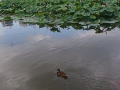 -太阳宫公园
