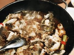 -芙蓉堂(武汉天地店)