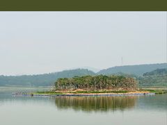-美的鹭湖森林度假区