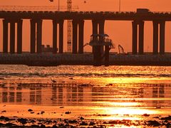 -宝安西湾红树林湿地公园